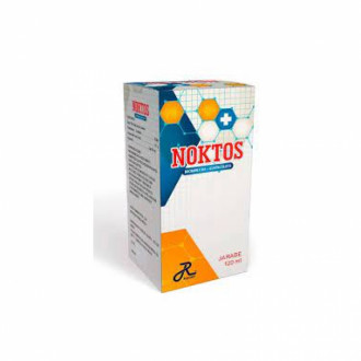 NOKTOS ADULTOS  JBE GX 120ML  RUECAM